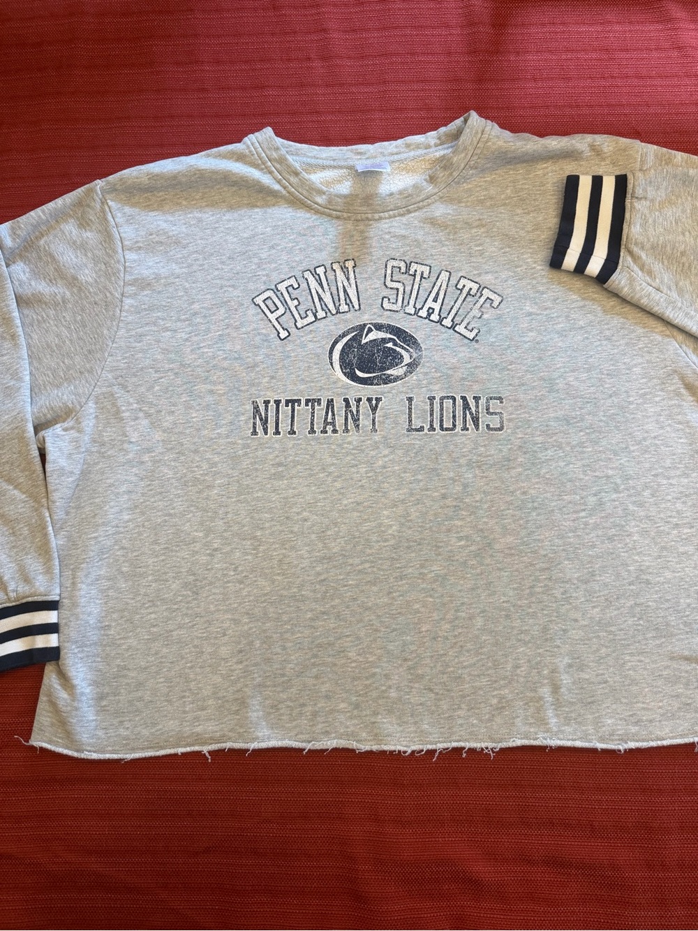 Russell Athletic Gray Penn State Nittany Lions Cropped Sweatshirt
